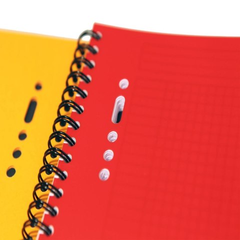 Oxford Kołozeszyt (kołonotatnik) International A5+ 80k. krata Oxford (100102880)