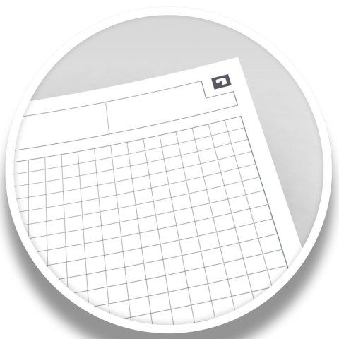 Oxford Kołozeszyt (kołonotatnik) International A5+ 80k. krata Oxford (100102880)