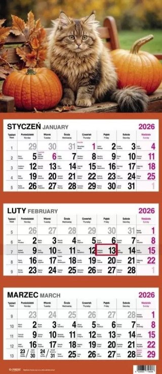 Press Kalendarz ścienny KOT 310mm x 790mm Press