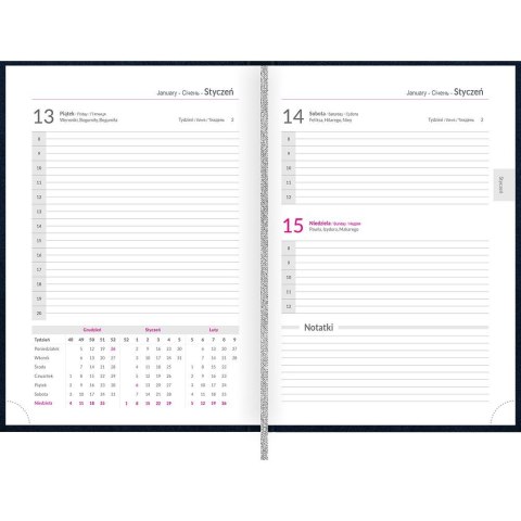 Top 2000 Kalendarz książkowy (terminarz) 5904017437451 Basic 2025 A5 Top 2000 (400189203)