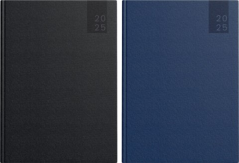 Top 2000 Kalendarz książkowy (terminarz) 5904017437451 Basic 2025 A5 Top 2000 (400189203)