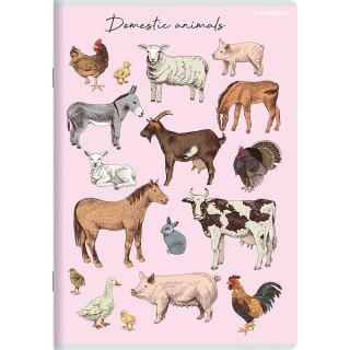 Top 2000 Zeszyt PP A5 32k. krata Top 2000 (400174505)