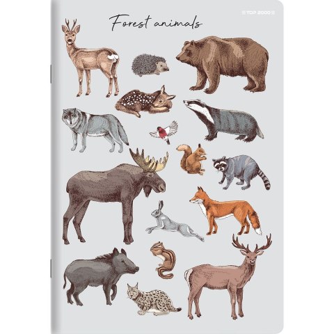 Top 2000 Zeszyt PP A5 32k. krata Top 2000 (400174505)