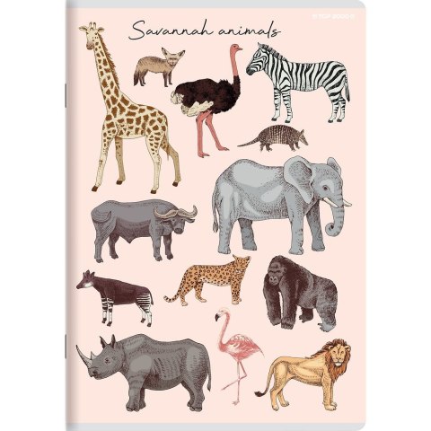 Top 2000 Zeszyt PP A5 32k. krata Top 2000 (400174505)