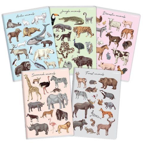 Top 2000 Zeszyt PP A5 32k. krata Top 2000 (400174505)