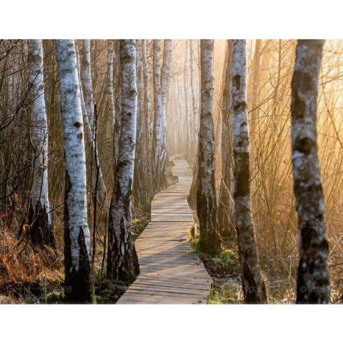 Lucrum Kalendarz ścienny 13-planszowe 320mm x 470mm Lucrum (RW04)