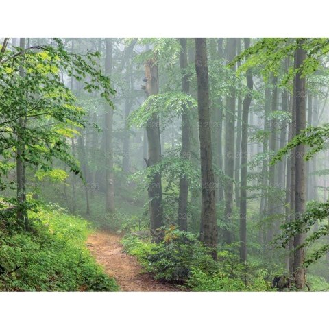 Lucrum Kalendarz ścienny 13-planszowe 320mm x 470mm Lucrum (RW04)