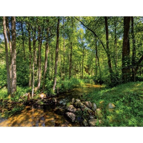 Lucrum Kalendarz ścienny 13-planszowe 320mm x 470mm Lucrum (RW04)