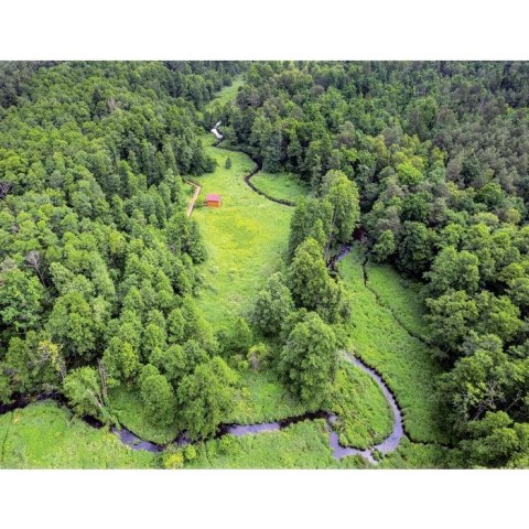 Lucrum Kalendarz ścienny 13-planszowe 320mm x 470mm Lucrum (RW04)