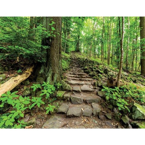 Lucrum Kalendarz ścienny 13-planszowe 320mm x 470mm Lucrum (RW04)