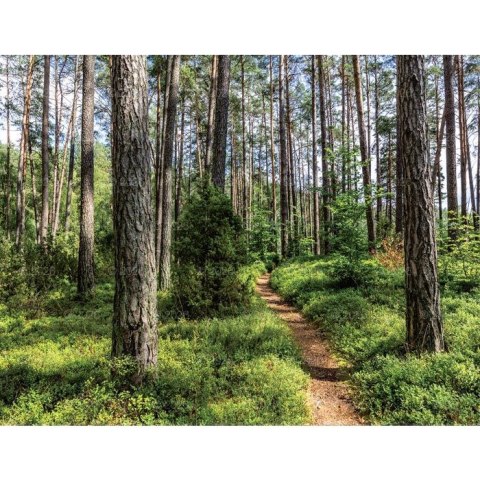 Lucrum Kalendarz ścienny 13-planszowe 320mm x 470mm Lucrum (RW04)