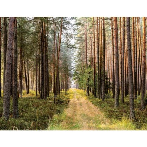 Lucrum Kalendarz ścienny 13-planszowe 320mm x 470mm Lucrum (RW04)