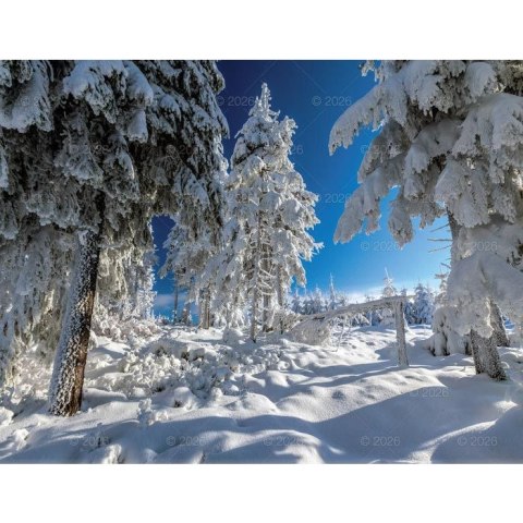 Lucrum Kalendarz ścienny 13-planszowe 320mm x 470mm Lucrum (RW04)