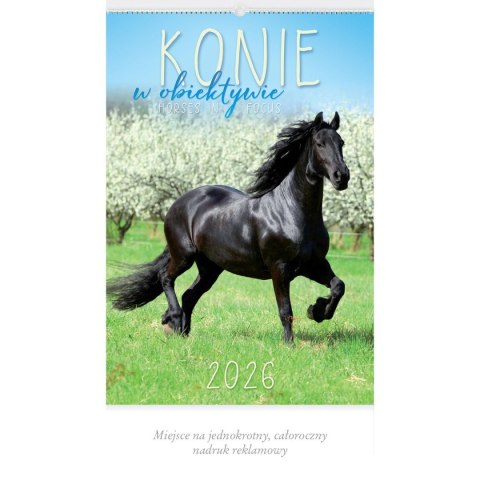 Lucrum Kalendarz ścienny 13-planszowe 320mm x 470mm Lucrum (RW14)