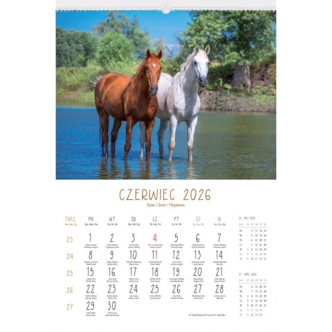 Lucrum Kalendarz ścienny 13-planszowe 320mm x 470mm Lucrum (RW14)