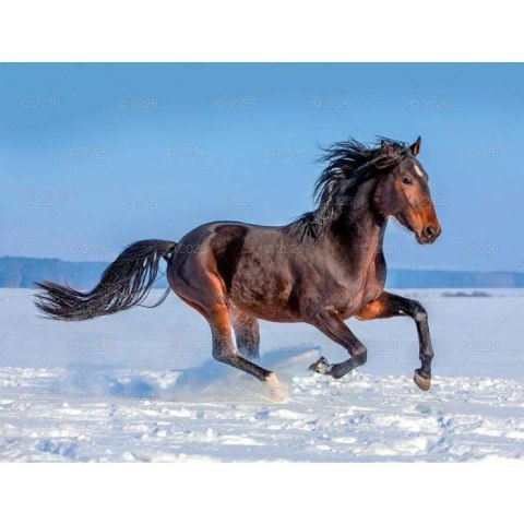 Lucrum Kalendarz ścienny 13-planszowe 320mm x 470mm Lucrum (RW14)