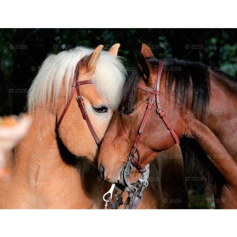 Lucrum Kalendarz ścienny 13-planszowe 320mm x 470mm Lucrum (RW14)