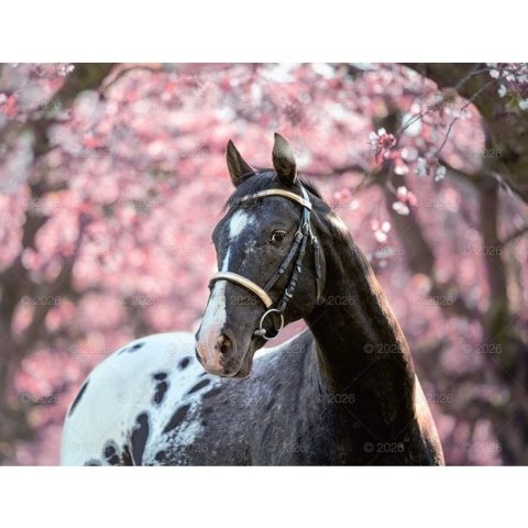 Lucrum Kalendarz ścienny 13-planszowe 320mm x 470mm Lucrum (RW14)