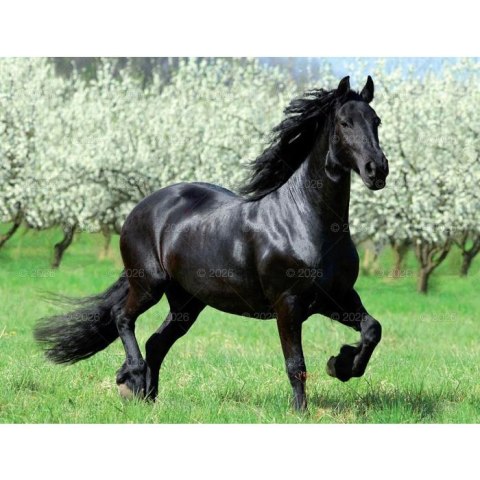 Lucrum Kalendarz ścienny 13-planszowe 320mm x 470mm Lucrum (RW14)