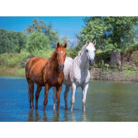 Lucrum Kalendarz ścienny 13-planszowe 320mm x 470mm Lucrum (RW14)