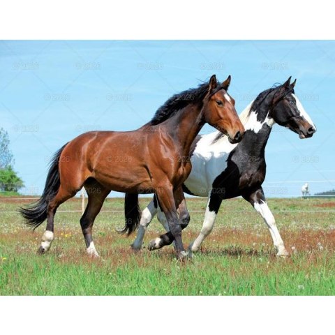 Lucrum Kalendarz ścienny 13-planszowe 320mm x 470mm Lucrum (RW14)