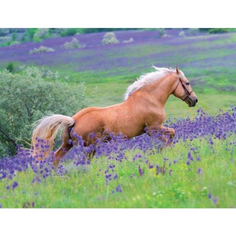 Lucrum Kalendarz ścienny 13-planszowe 320mm x 470mm Lucrum (RW14)