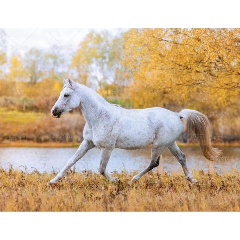 Lucrum Kalendarz ścienny 13-planszowe 320mm x 470mm Lucrum (RW14)