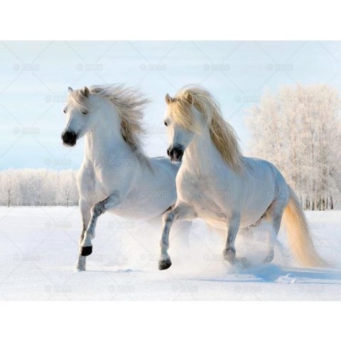 Lucrum Kalendarz ścienny 13-planszowe 320mm x 470mm Lucrum (RW14)