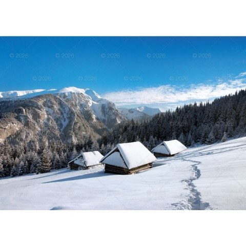 Lucrum Kalendarz ścienny Tatry i Podhale rodzinny 2023 280mm x 200mm Lucrum (WL04)