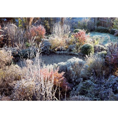 Lucrum Kalendarz ścienny rodzinny 280mm x 200mm Lucrum (WL13)