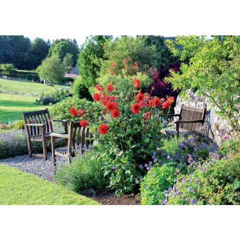 Lucrum Kalendarz ścienny rodzinny 280mm x 200mm Lucrum (WL13)