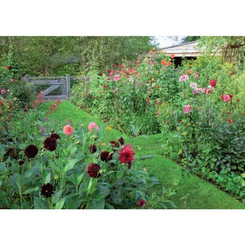 Lucrum Kalendarz ścienny rodzinny 280mm x 200mm Lucrum (WL13)