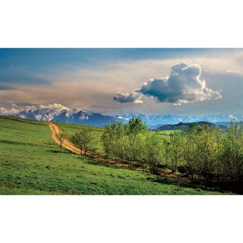 Lucrum Kalendarz ścienny trójdzielny 320mm x 860mm Lucrum (KT04)