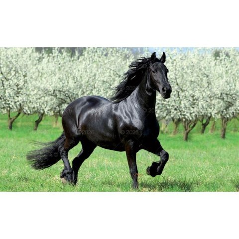 Lucrum Kalendarz ścienny trójdzielny x 320mm Lucrum (KT13)