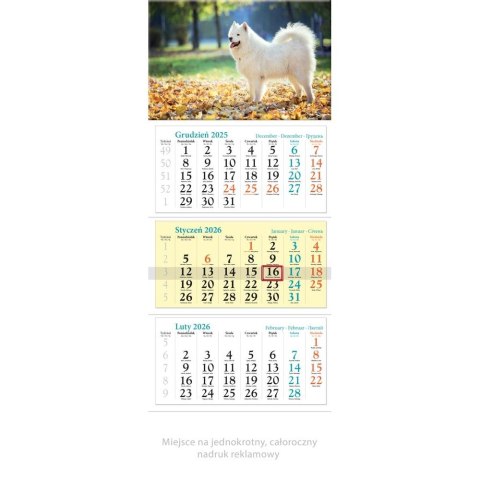 Lucrum Kalendarz ścienny trójdzielny x 320mm Lucrum (KT14)