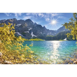 Michalczyk i Prokop Kalendarz ścienny 315mm x 855mm Michalczyk i Prokop (T-105T-02)