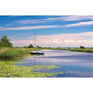 Michalczyk i Prokop Kalendarz ścienny 855mm x 315mm Michalczyk i Prokop (T-105T-01)