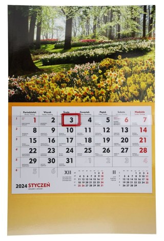 Michalczyk i Prokop Kalendarz ścienny terminarz ścienny 310mm x 482mm Michalczyk i Prokop (T-107S-2)