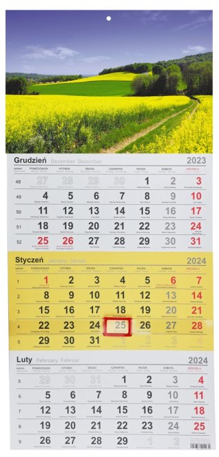 Michalczyk i Prokop Kalendarz ścienny trójdzielny 288mm x 622mm Michalczyk i Prokop (T-106T-01)