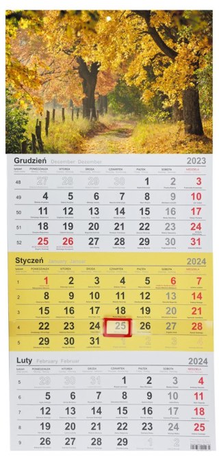 Michalczyk i Prokop Kalendarz ścienny trójdzielny 288mm x 622mm Michalczyk i Prokop (T-106T-11)