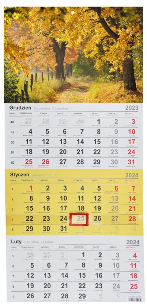 Michalczyk i Prokop Kalendarz ścienny trójdzielny 288mm x 622mm Michalczyk i Prokop (T-106T-11)