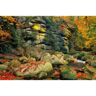 Michalczyk i Prokop Kalendarz ścienny trójdzielny 855mm x 315mm Michalczyk i Prokop (T-105T-04)