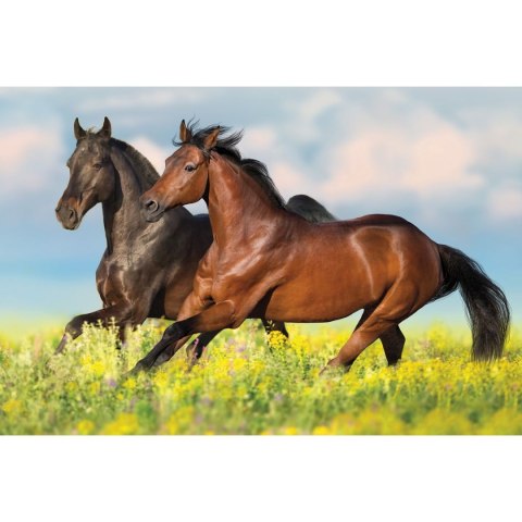 Michalczyk i Prokop Kalendarz ścienny trójdzielny 855mm x 315mm Michalczyk i Prokop (T-105T-12)