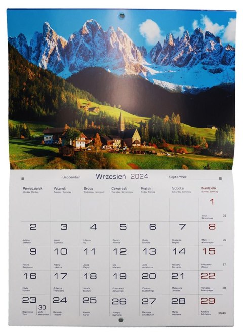 Michalczyk i Prokop Kalendarz ścienny wieloplanszowy 200mm x 285mm Michalczyk i Prokop (TW-10-4)