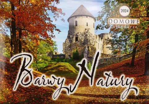 Michalczyk i Prokop Kalendarz ścienny wieloplanszowy 200mm x 285mm Michalczyk i Prokop (TW-10-5)