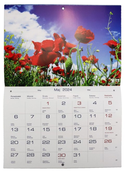 Michalczyk i Prokop Kalendarz ścienny wieloplanszowy 200mm x 285mm Michalczyk i Prokop (TW-10-5)