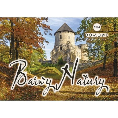 Michalczyk i Prokop Kalendarz ścienny wieloplanszowy 200mm x 285mm Michalczyk i Prokop (TW-10-5)