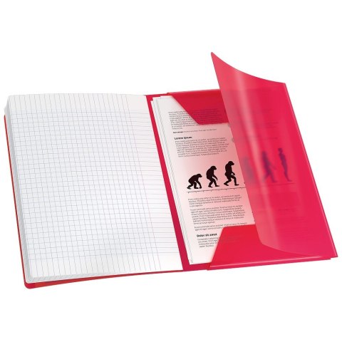 Oxford Zeszyt A4 EASYBOOK 60k. 90g linia Oxford (400196700)