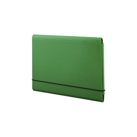 Penmate Teczka kartonowa Penmate (TT7711)