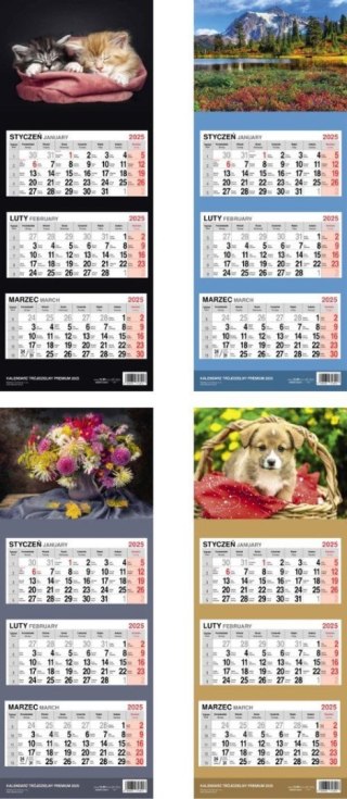 Press Kalendarz ścienny PREMIUM trójdzielny 310mm x 790mm Press (5904830713213)